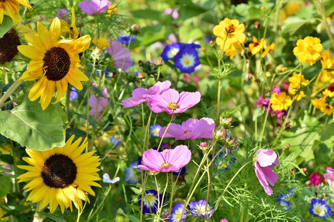 Memorial Garden - Planning and Planting your Perfect Space
